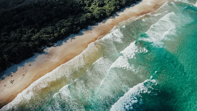 Praia cercada de vegetação e mar claro