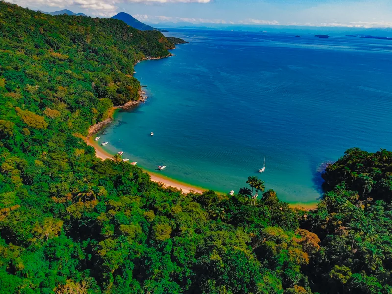 Costa verde de Ilha Grande vista do alto