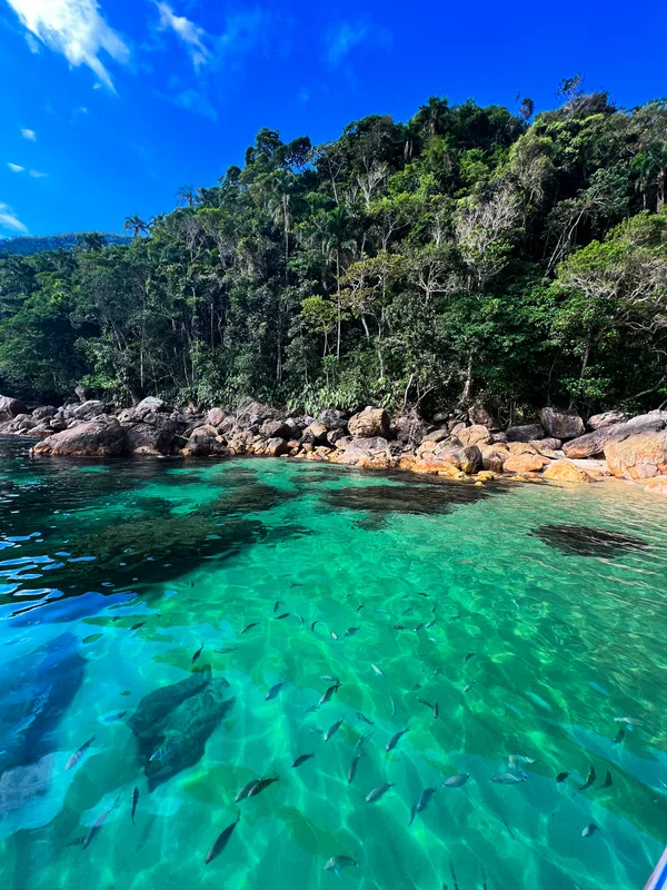 Águas claras de Ilha Grande