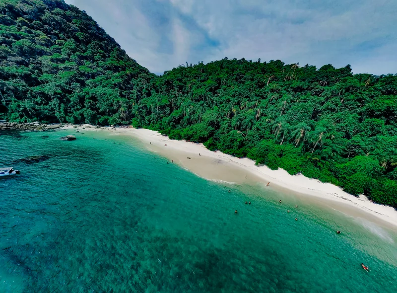 Praia tranquila cercada pela Mata Atlântica